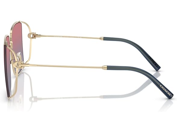 COACH Women's Sunglasses HC 7174 D