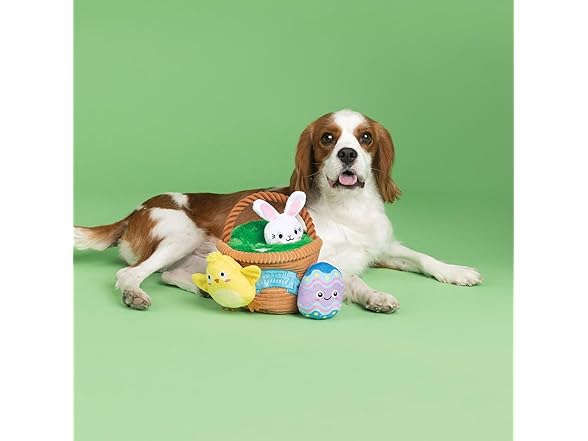 Hide & Seek Burrow Dog Toy Set, Egg Hunt