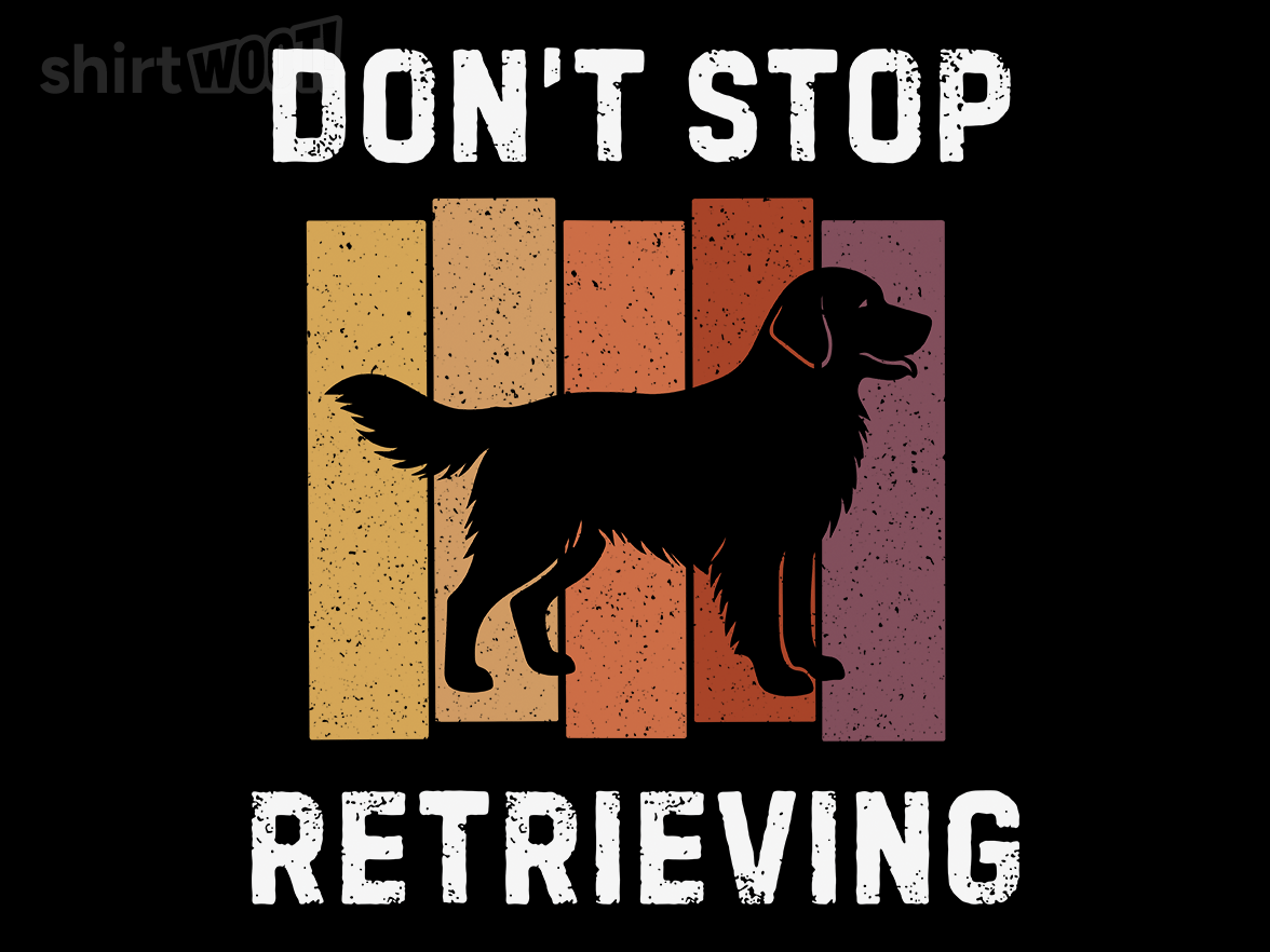 Don't Stop Retrieving - Gallery 9