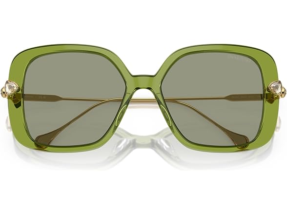 Swarovski SK6011 Sunglasses