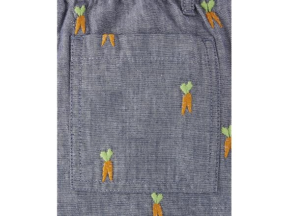Gymboree Boys (3T) Toddler Embroidered Shorts