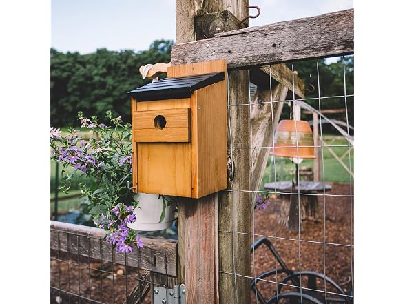 Backyard Expressions Brazilian Pine Birdhouse