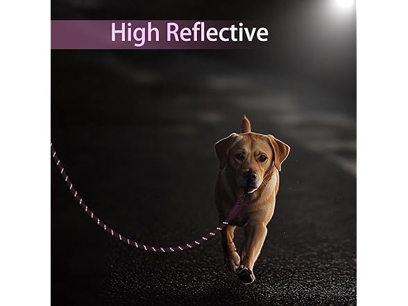 Codepets Long Rope Dog Leash for Dog