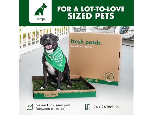 Fresh Patch Real Grass Patch for Dogs, Cats,