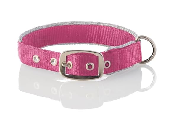 Silver/Hot Pink