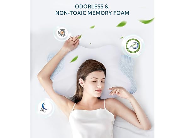 FAIORD Cervical Memory Foam Pillow