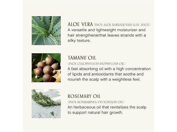Organic Beauty Conditioner 10ozs