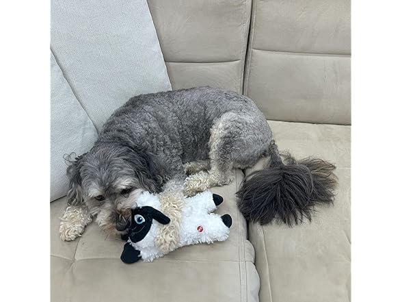 SPOT Baa Baa Black Sheep Plush Dog Toy