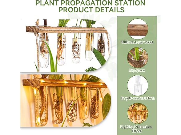 Yqlinnn Wall Hanging Plant Propagation