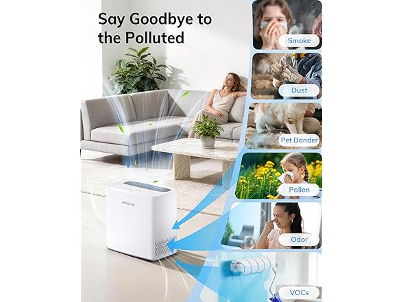Ambersky Air Purifier