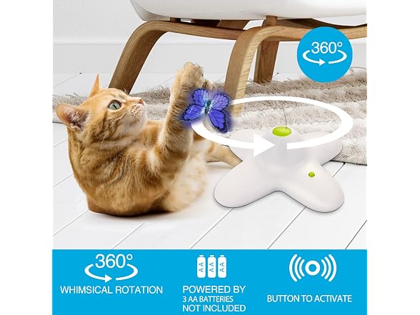 ALL FOR PAWS Interactives Flutter Bug