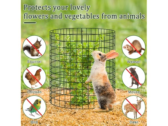 Niuyhe 30 Pcs Plant Protectors