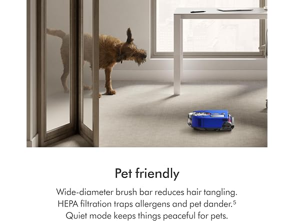 Dyson 304619-01 Robot Vacuum 12 Cleaning Path Purple