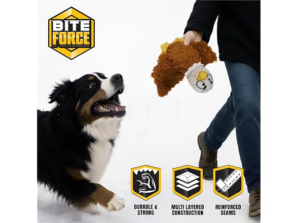 Bite Force Dog Chew Toys(2)