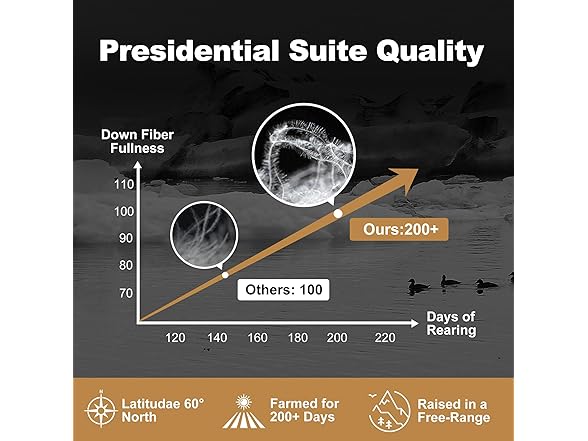 DownAero Feather Down Comforter 100% Cotton