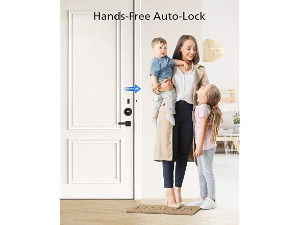 Philips DDL230X-10HW Retrofit Smart Lock Black