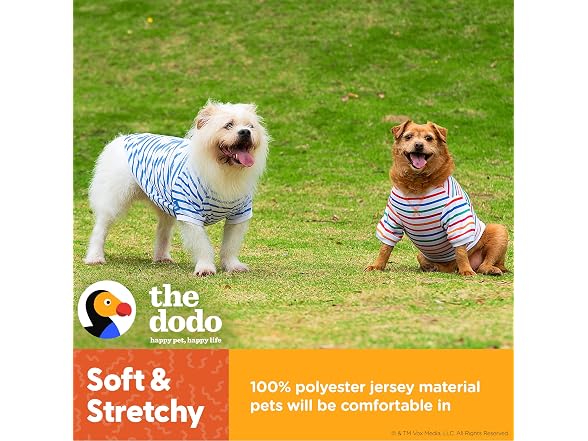 Dodo Extra Small Dog T-Shirt: Blue & White Striped, XS