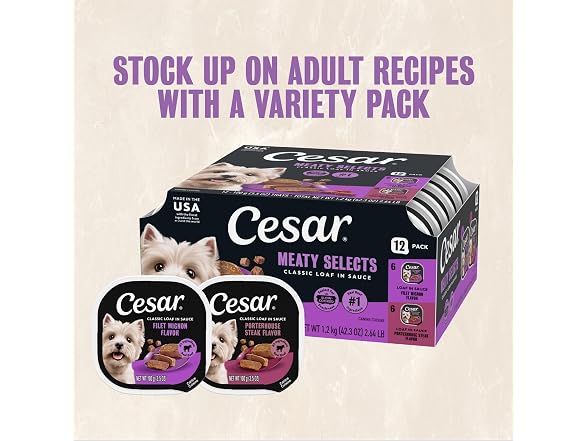 24ct Cesar Classic Loaf in Sauce Adult Wet Dog Food