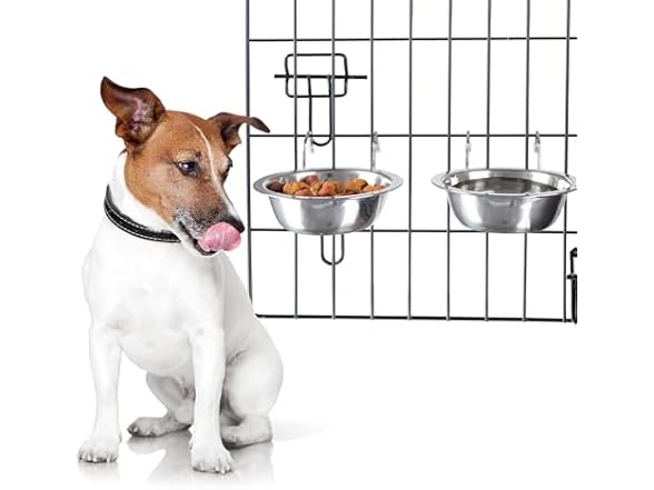 Set of 2 Stainless-Steel Dog Bowls
