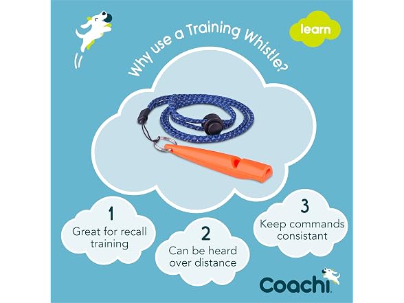 Company of Animals Coachi Training Whistle | Coral