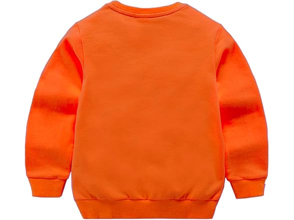 DCUTERQ Boys' Crewneck Thin Sweatshirt