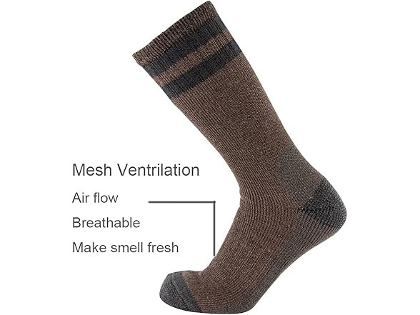 Cerebro Merino Wool Socks for Men