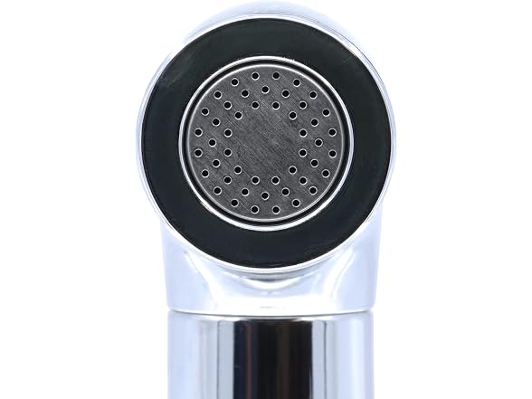 Danco Kitchen Sink Side Sprayer, Chrome