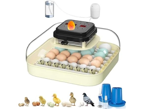 CoInceptus 35 Eggs Incubators