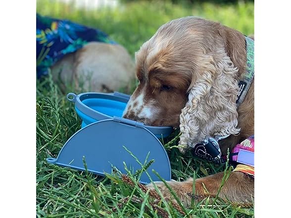 Loving Pets Bella Roma Collapsible Dog Bowls