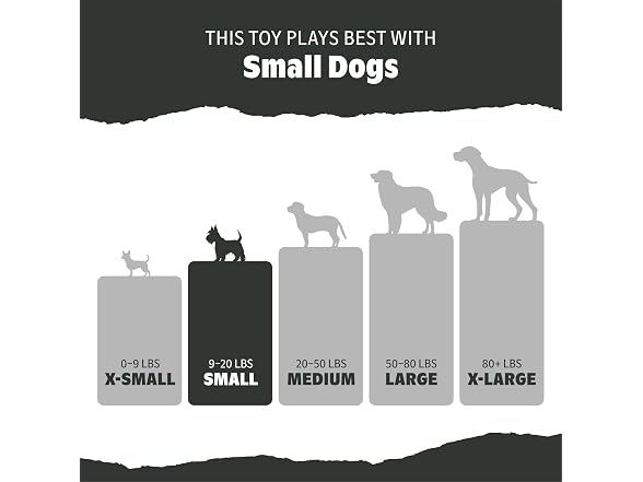 BarkBox Barkin' Boot Dog Toy - Small Dogs