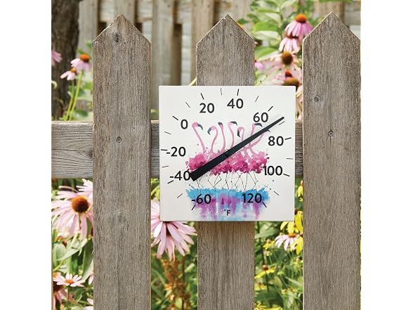 Taylor 8INP Tabletop Thermometer