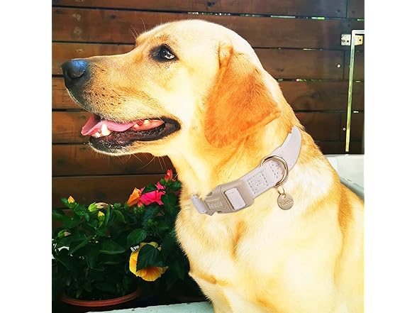 Faleela Dog Collar - Cute & Comfy Cotton Pet Collar