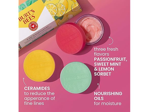 Burt's Bees Lip Mask Set Overnight Treatment