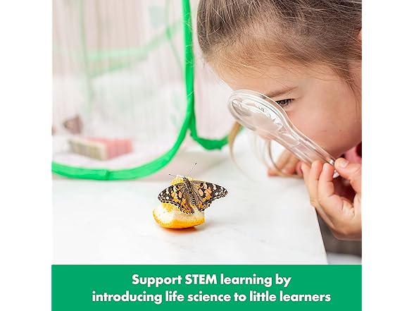 Educational Insights GeoSafari Jr. Butterfly Bungalow