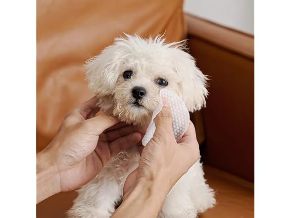 Pet Oil with Coconut for Dogs & Cats by