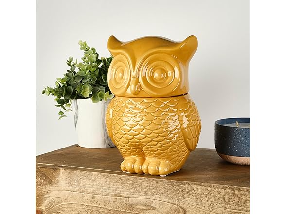 Elements 6.22x5.67x8.7 Inch Tan Ceramic Owl Cookie Jar