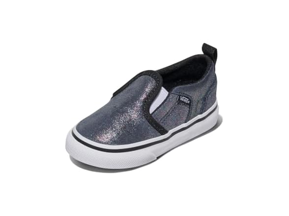 Vans Asher Slip-On Shoe