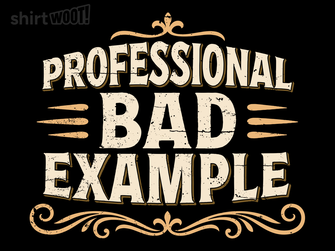 Professional Bad Example - Gallery 9