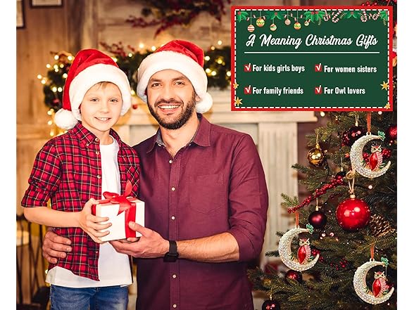 HEYINSHEN Owl Ornaments - Metal Owl