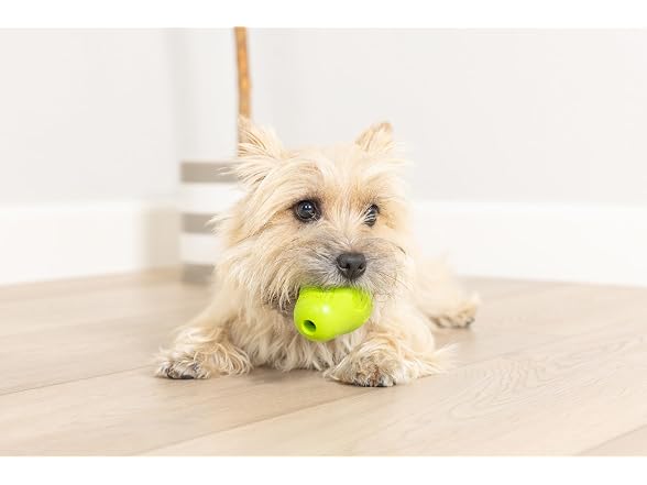 Chuckit! Tumble Teez Dog Treat Puzzle Toy, Small Green