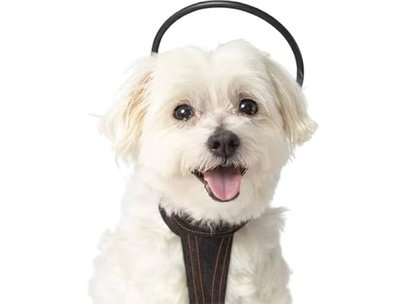 Calmer Canine Anxiety Treatment tPEMF System
