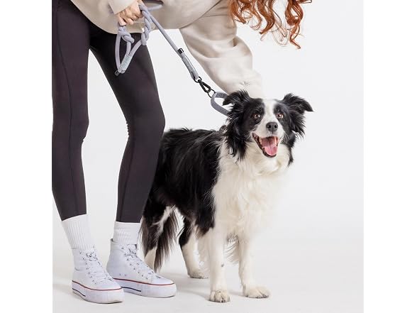 Fei & Eve Hand-Braided Dog Leash