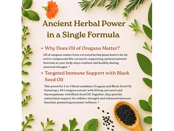 Micro Ingredients Oregano Oil 300ct