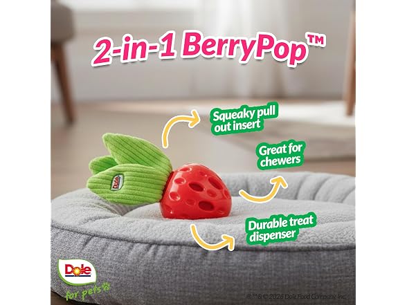 Dole for Pets Dog Puzzle Toy with Crinkle Squeak Insert
