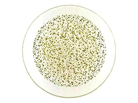 Clear/Gold