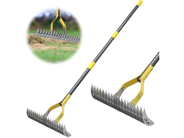 $21.99, Was $29.99, 26% Off! Thatch Rake, 2-in-1 dealfomo