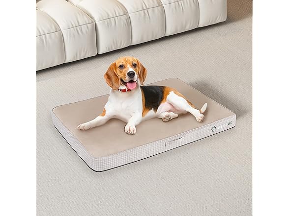 WEVEGO Medium Dog Bed, Orthopedic Dog Bed