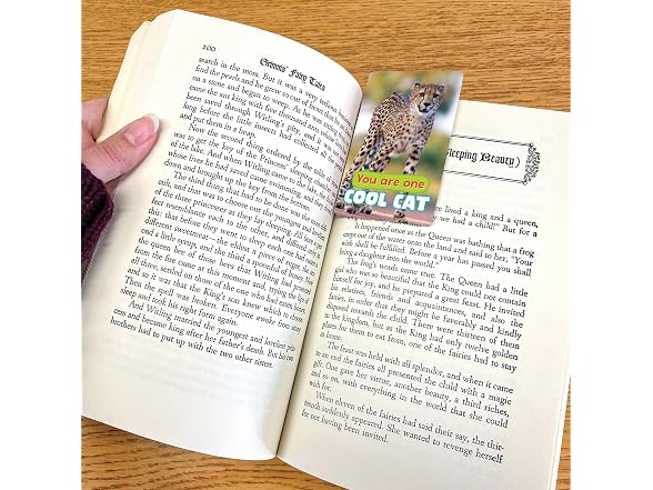 Teacher Created Resources Go Wild Animals Encouragement Cards