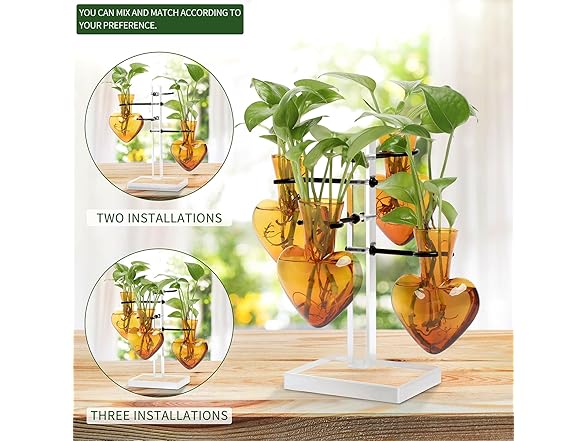 4 Love Heart Vase Plant Propagation