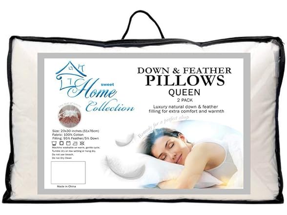 2pk Down & Feather Cover Pillows